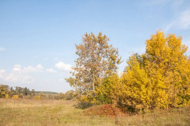 Sonbahar, Güz, yaprak sonbahar, sonbahar yaprak