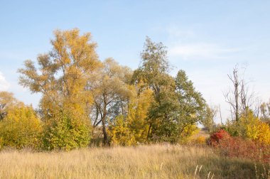 Sonbahar, Güz, yaprak sonbahar, sonbahar yaprak