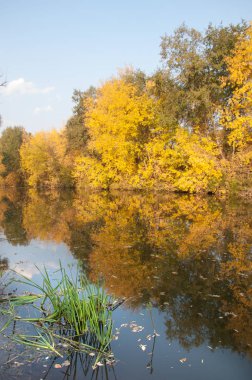 Sonbahar, Güz, yaprak sonbahar, sonbahar yaprak