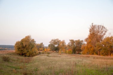 Sonbahar, Güz, yaprak sonbahar, sonbahar yaprak