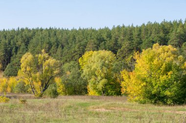Sonbahar için harika bir zaman
