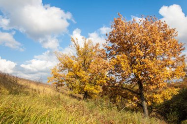 Sonbahar için harika bir zaman
