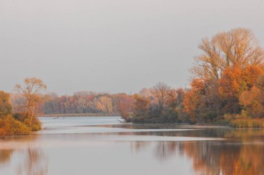 Sonbahar sisi, ormanda gün doğumu.