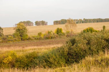 Nehir kenarındaki sonbahar çayırları