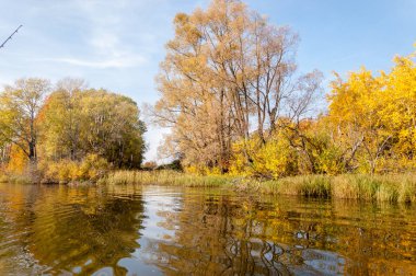 Sonbahar nehri, Sonbahar ağaçları altın içinde