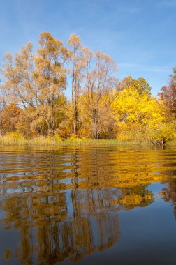 Sonbahar nehri, Sonbahar ağaçları altın içinde