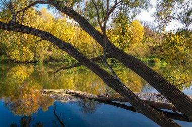 Sonbaharda nehir, yılın altın zamanı.
