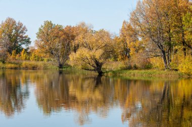 Sonbahar manzarası. Milli parktaki güzel sonbahar ormanı.