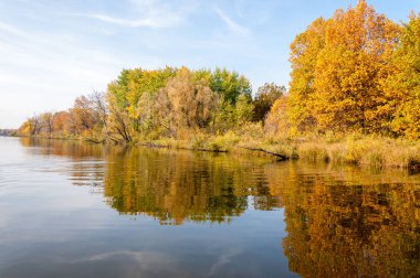 Sonbahar nehri, Sonbahar ağaçları altın içinde