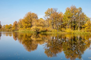 Sonbahar manzarası. Gölün üzerinde güzel bir sonbahar yeşilliği.