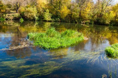 Sonbaharda nehir, yılın altın zamanı.