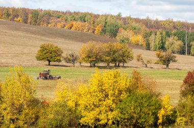 Sonbahar sürülmüş alan, bir büyük söğüt ağacı hasat çim biçme