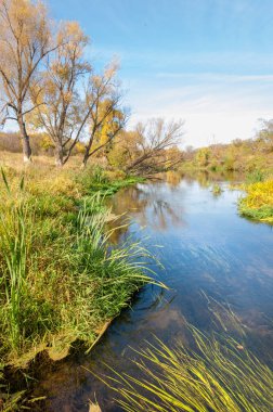 Sonbaharda nehir, yılın altın zamanı.