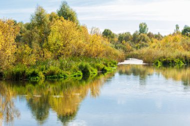 Sonbahar, nehrin ormanı ile kaplı parlak güneşli bir günde