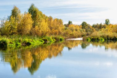 Sonbahar, nehrin ormanı ile kaplı parlak güneşli bir günde