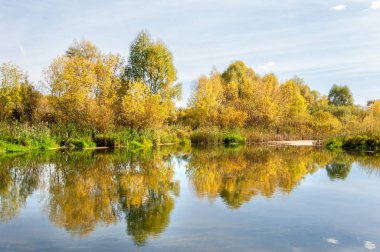 Sonbahar, nehrin ormanı ile kaplı parlak güneşli bir günde