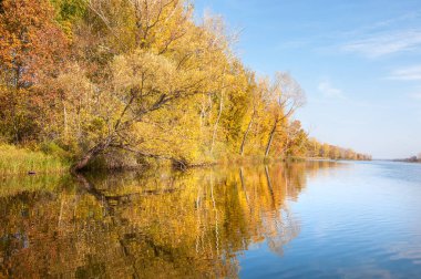 Sonbahar nehri, Sonbahar ağaçları altın içinde