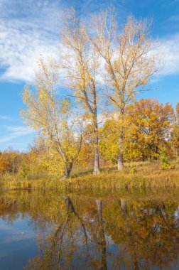Sonbahar, sudaki ağaçların göldeki yansıması üzerine sessizdir.