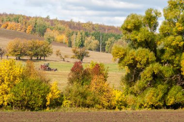Sonbahar sürülmüş alan, bir büyük söğüt ağacı hasat çim biçme