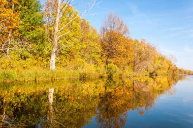 Sonbahar nehri, Sonbahar ağaçları altın içinde