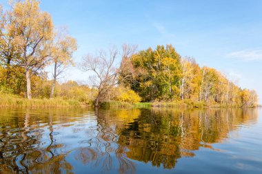 Sonbahar nehri, Sonbahar ağaçları altın içinde