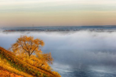 Sonbahar, altın yaprakları, harika bir zaman gün sıcak