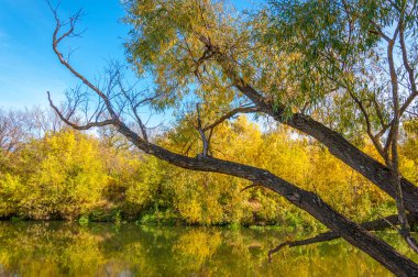 Sonbaharda nehir, yılın altın zamanı.