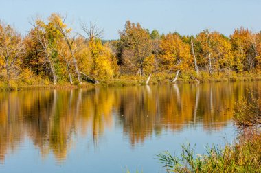 Sonbahar manzarası. Gölün üzerinde güzel bir sonbahar yeşilliği.