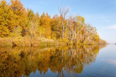 Sonbahar nehri, Sonbahar ağaçları altın içinde