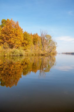 Sonbahar nehri, Sonbahar ağaçları altın içinde