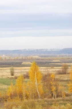Sonbahar, altın yaprakları, harika bir zaman gün sıcak