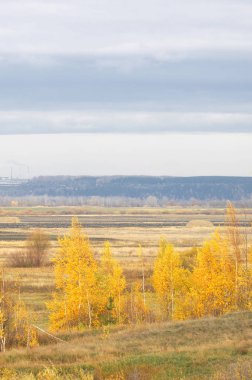 Sonbahar, altın yaprakları, harika bir zaman gün sıcak
