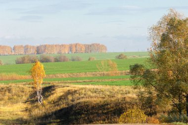 Sonbahar, altın yaprakları, harika bir zaman gün sıcak