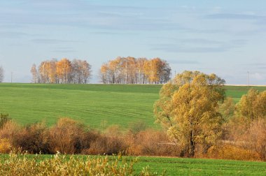 Sonbahar, altın yaprakları, harika bir zaman gün sıcak