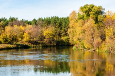 Sonbahar, nehrin ormanı ile kaplı parlak güneşli bir günde