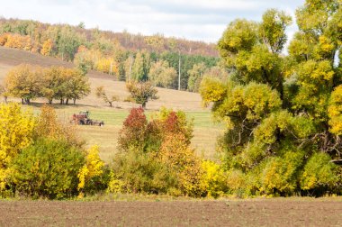 Sonbahar sürülmüş alan, bir büyük söğüt ağacı hasat çim biçme