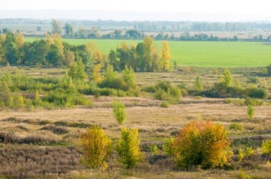 Nehir kenarındaki sonbahar çayırları