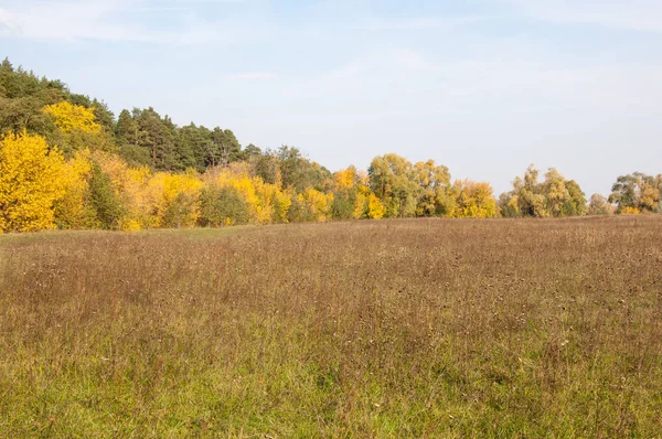 Otoño, otoño, caída de la hoja, caída de la hoja — Foto de Stock