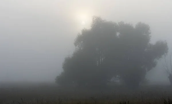 Autumn mist — Stock Photo, Image