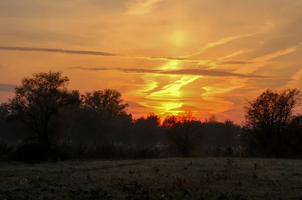 Niebla de otoño, amanecer en el bosque — Foto de Stock