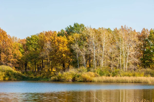 Paisaje de otoño. Lago otoño bosque mixto — Foto de Stock