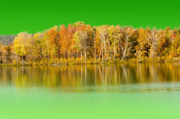 纹理，背景。 秋天的倒影在水里，在一片绿色上 — 图库照片