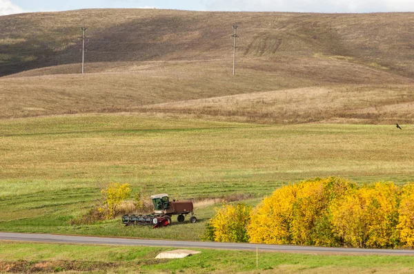 Hösten upplöjd fältet, en stor willow tree skördare klipper gräs — Stockfoto