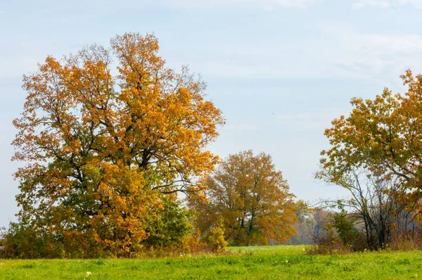 Höstens övergivna golfbana — Stockfoto