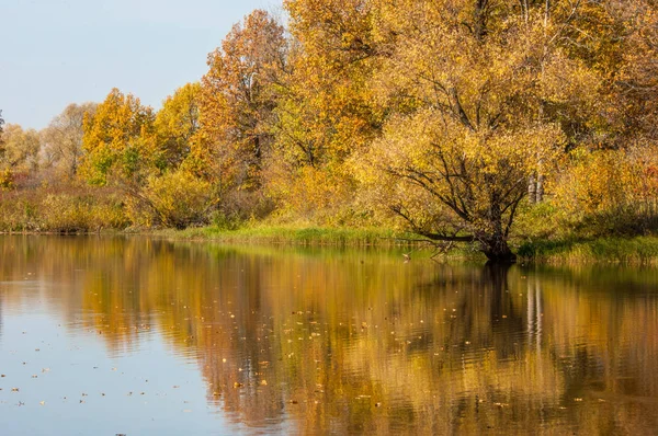 秋の風景。美しい湖の上の秋のカラフルな葉 — ストック写真