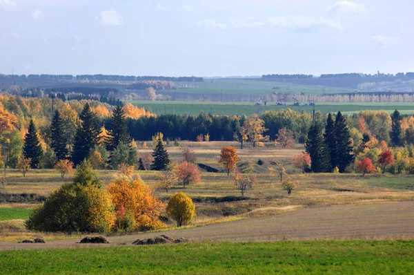 Höst — Stockfoto