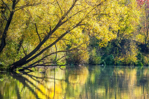 Ποταμός το φθινόπωρο, η χρυσή εποχή του χρόνου — Φωτογραφία Αρχείου
