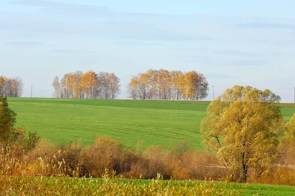 Höstpark — Stockfoto