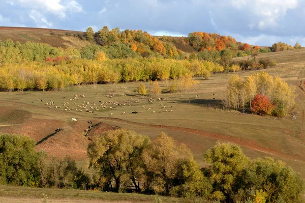 Herbst — Stockfoto