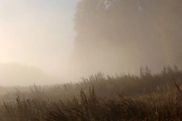 Autunno — Foto Stock